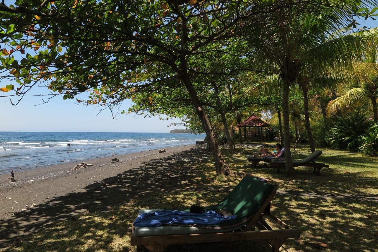Bali Sandat Tejakula Exterior foto